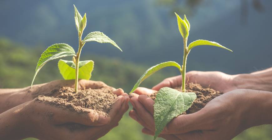 Endüstriyel Ambalaj Sektöründe Ekoloji Neden Stratejik Bir Konudur?